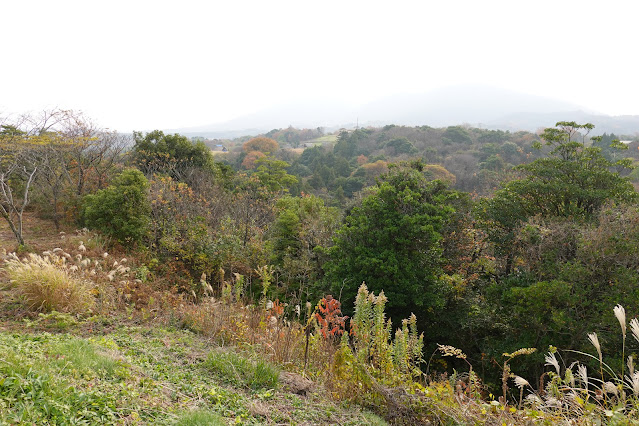 鳥取県西伯郡大山町富岡 むきばんだ史跡公園 展望台からの眺め