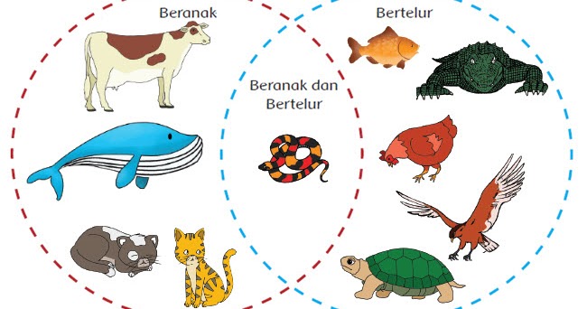 Materi Ajar Kelas 6 Tema 1 Subtema 2 Pembelajaran 1