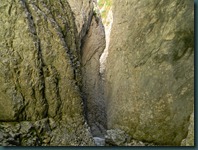 DSCN1497