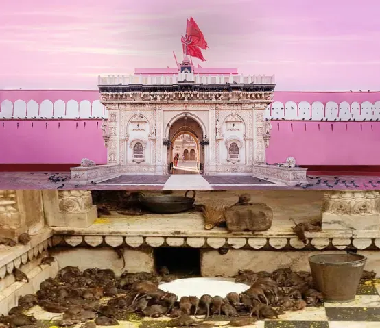करनी माता मंदिर, राजस्थान