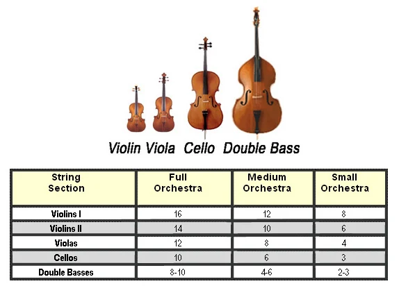 Mengenal String Section dalam Orkestra - Blog Fisella - 2 - Perbanding Ukuran Instrumen dalam String dan Jumlah Pemain String dalam Orkestra