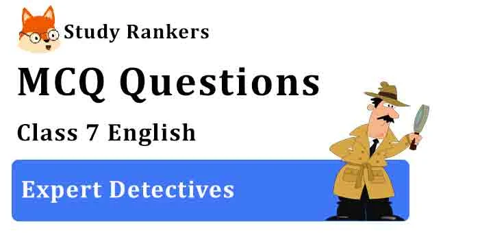 MCQ Questions for Class 7 English Chapter 6 Expert Detectives Honeycomb