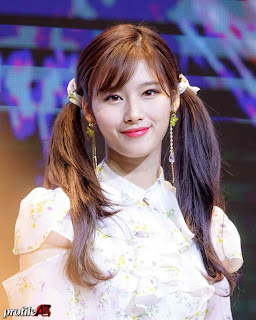 Latest Cute Photos Twice Sana with Twintail Hairstyle