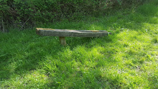 a broken bench in College Wood, Nr Nash Buckinghamshire