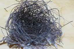 How To Make A Bird Nest Using Twigs
