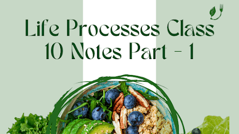 Notes of Chapter 6 Life Process Class 10th Science