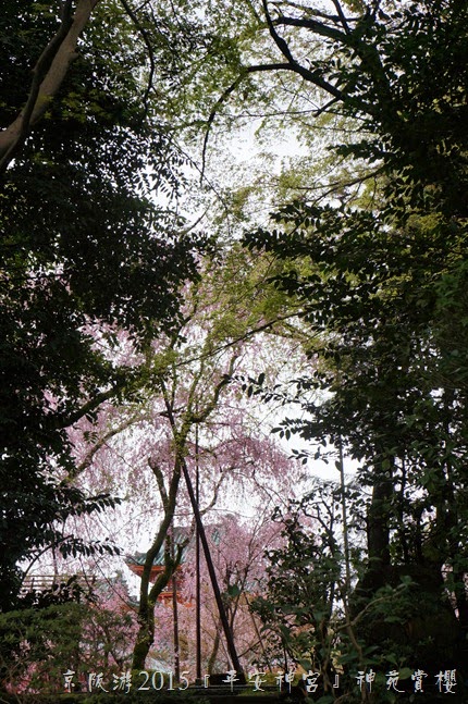 DSC03148