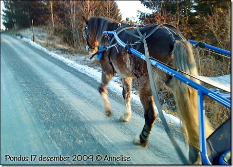 2009-17des-pondus_02