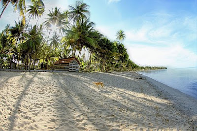 Natuna nature