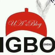 Igbo business interests being targeted in Nigeria – Southeast group claims