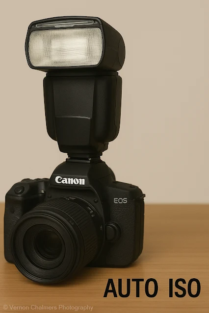 Canon Speedlite Flash and Using Auto ISO