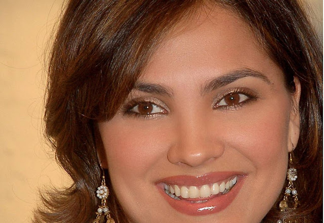 Lara Dutta Hd Wallpapers