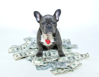 What happens when my pet is too expensive?