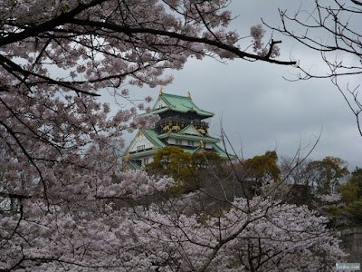 桜越しの大阪城