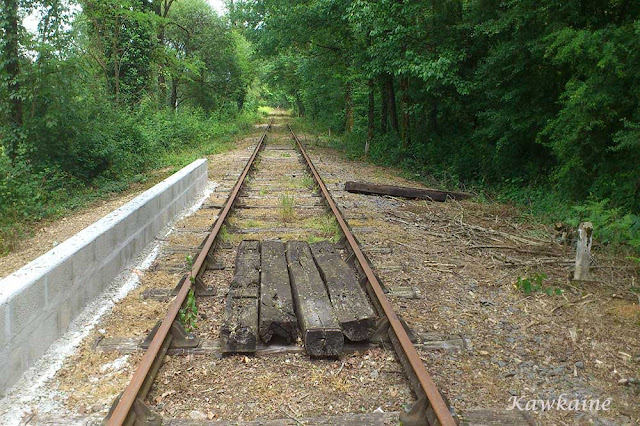 Roumazieres Gare