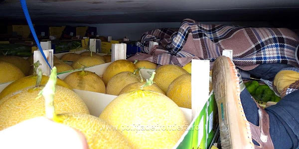 Patru cetățeni sirieni depistați ascunşi printre cutii cu fructe şi legume, într-un ansamblu rutier, în PTF Calafat
