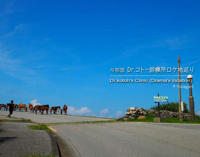 与那国島☆Dr.コトー診療所ロケ地巡り（2日目）