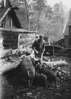 Logging camp, Potter County, ca. 1900