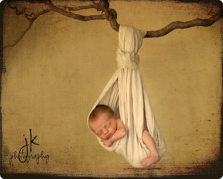 Maddox swing from treeweblogo