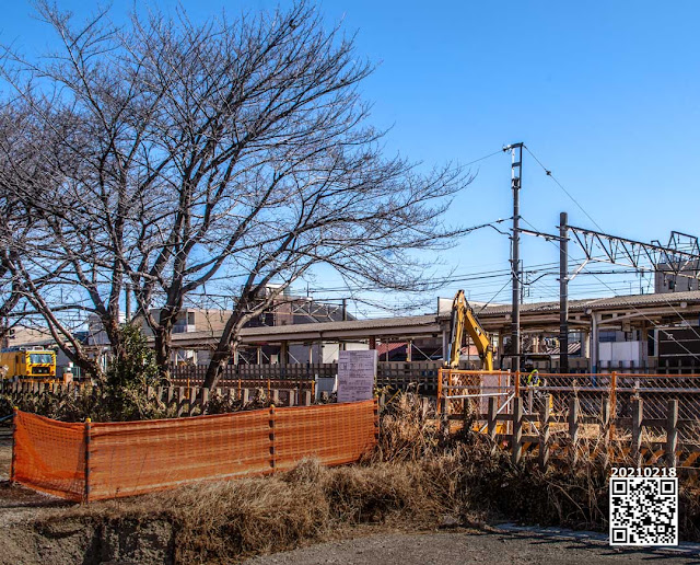 桜の木の近くでユンボが道の整地をしていた。「パシャ」。