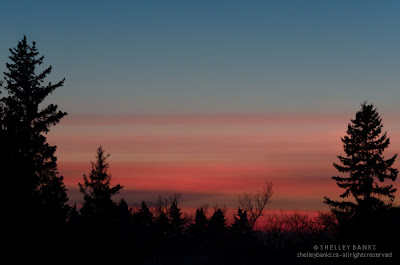 Sunset. 6:57 p.m., Feb 22 2013 Muenster, SK Canada; photo © Shelley Banks, all rights reserved