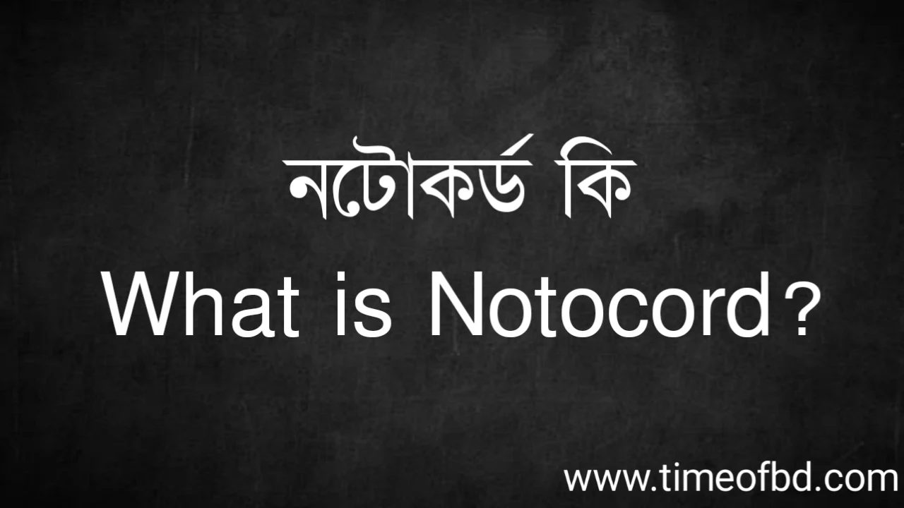Tag: নটোকর্ড কি, What is Notocord,