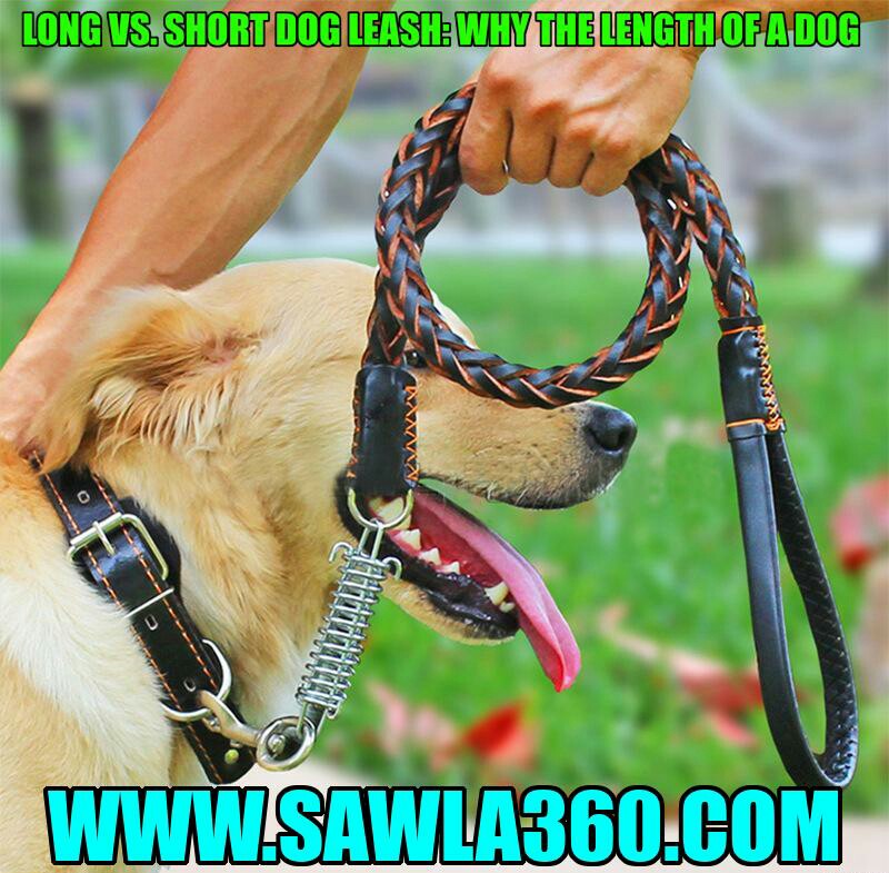 Long vs. Short Dog Leash: Why the Length of a Dog Leash Matters?