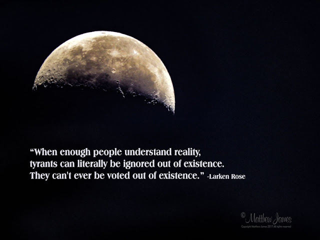 “When enough people understand reality, tyrants can literally be ignored out of existence. They can't ever be voted out of existence.” ― Larken Rose 