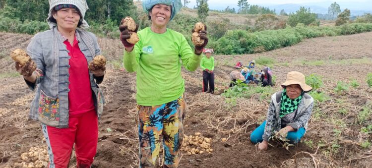 Selain Untungkan Petani, Food Estate Humbahas Ciptakan Lapangan Pekerjaan bagi Masyarakat