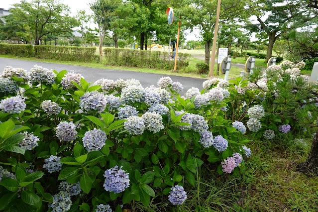 鳥取県米子市両三柳 弓ヶ浜公園