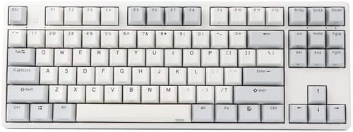 Review EPOMAKER NIZ Plum X87 87-Keys Keyboard