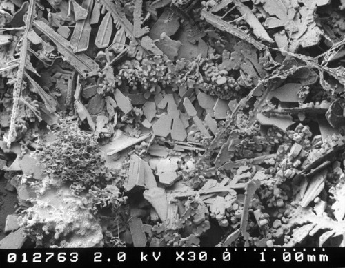 snow-microscope (4)
