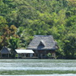 View album