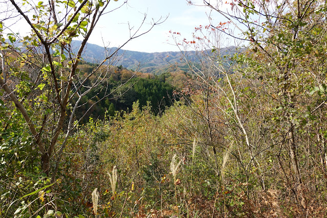 鳥取県西伯郡南部町下中谷 林道ダムサイトからの眺望