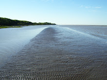 Playa infinita