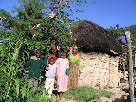 Flowers and Hut