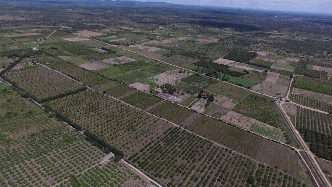 Irrigação de Várzea da Roça