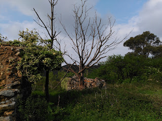 Barrio de Burzaco La Arboleda Trapagaran