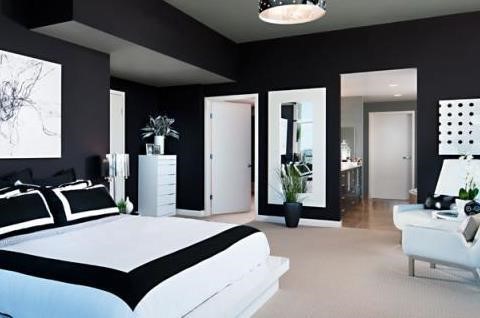 17 Bedroom Design Ideas Black And White-6 black Living Room  Bedroom,Design,Ideas,Black,And,White