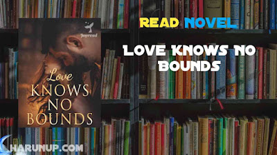 Read Love Knows No Bounds Novel Full Episode
