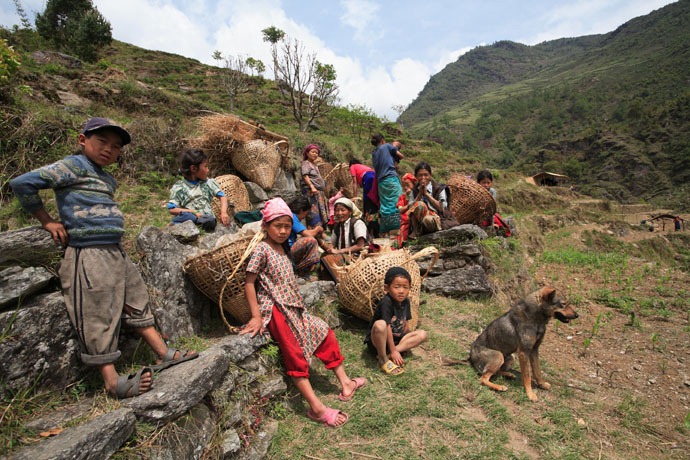 honey-hunters-nepal-15