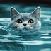 [Guest Post] In too deep? Considering the legal risks when using DeepSeek