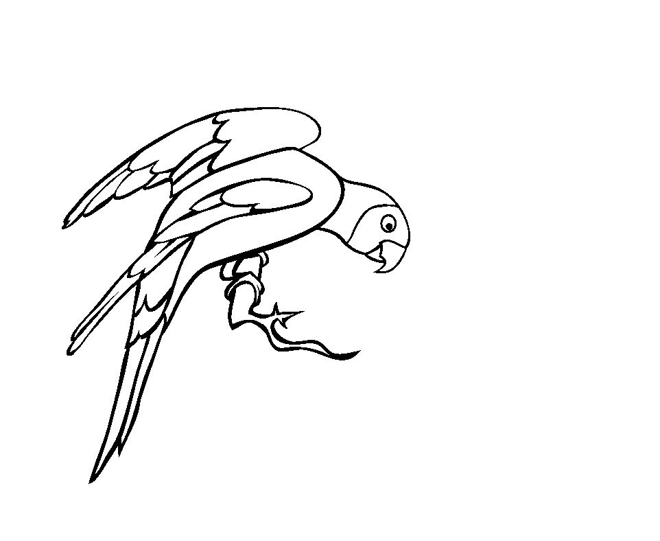 Parrot Coloring Drawing Free wallpaper