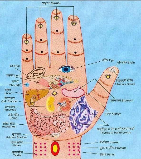 My own thoughts: Acupressure (Reflexology) Charts Collection