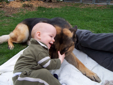 Do you believe in dog?: Dogs and babies: Not always cute