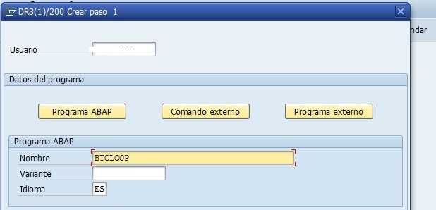 Reporte BTCLOOP SAP Debug