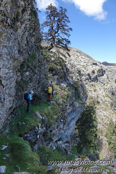 Colada del Tejo - Cerro Estepilar - Cerro del Pilar - Cerro de los Valientes - Picaho de Fatalandar