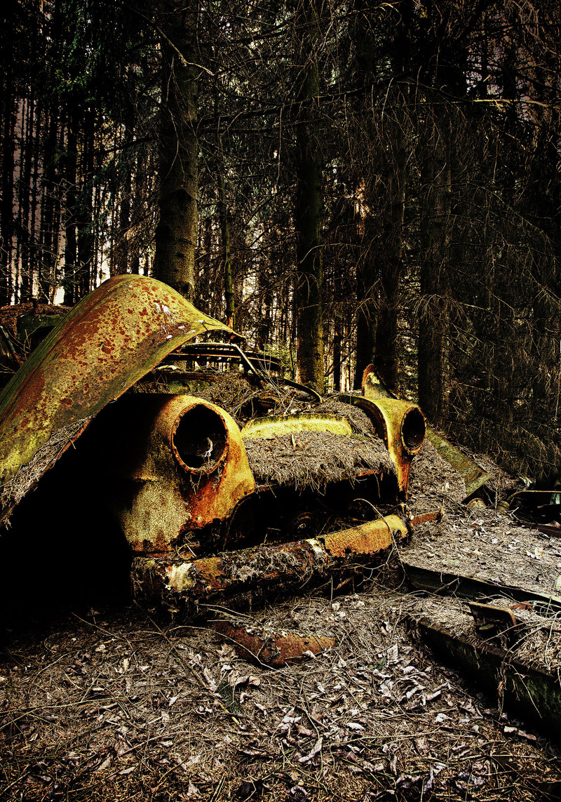 dieter klein dieter klein artist, abandoned car photography, klein entertainment, lost wheels dieter klein, lost wheels book,