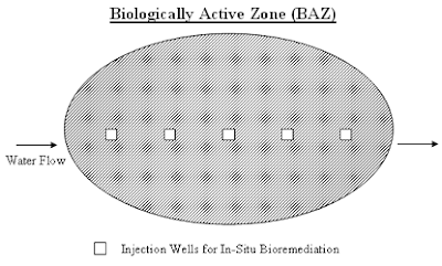 biologically active zone