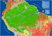 Fordelt over ni land i SørAmerika strekker Amazonas seg over sju millioner .